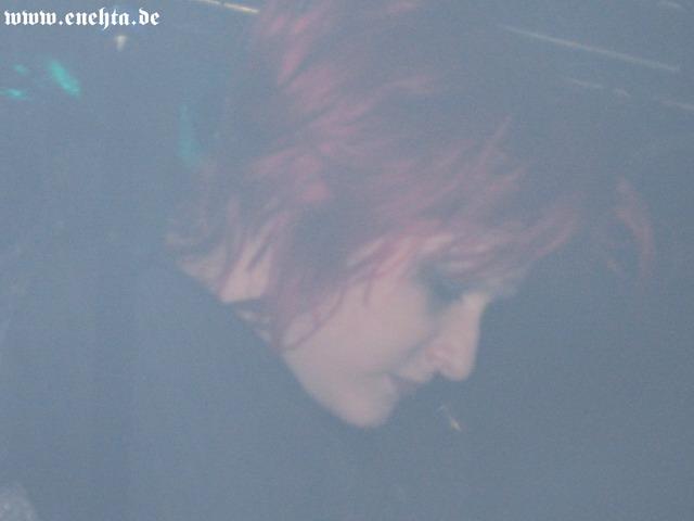 Lame Immotrelle vom 20.02.2008-024.jpg